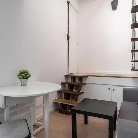 Cozy 파리